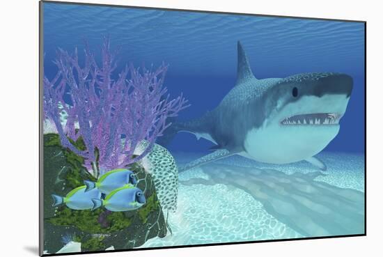 A Huge Megalodon Shark Swimming in Clear Ocean Waters-null-Mounted Art Print