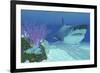 A Huge Megalodon Shark Swimming in Clear Ocean Waters-null-Framed Art Print