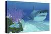 A Huge Megalodon Shark Swimming in Clear Ocean Waters-null-Stretched Canvas