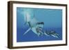 A Huge Megalodon Shark Swims after a Pod of Striped Dolphins-null-Framed Premium Giclee Print