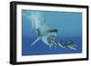 A Huge Megalodon Shark Swims after a Pod of Striped Dolphins-null-Framed Premium Giclee Print
