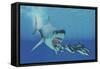 A Huge Megalodon Shark Swims after a Pod of Striped Dolphins-null-Framed Stretched Canvas