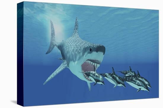 A Huge Megalodon Shark Swims after a Pod of Striped Dolphins-null-Stretched Canvas