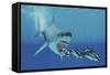 A Huge Megalodon Shark Swims after a Pod of Striped Dolphins-null-Framed Stretched Canvas