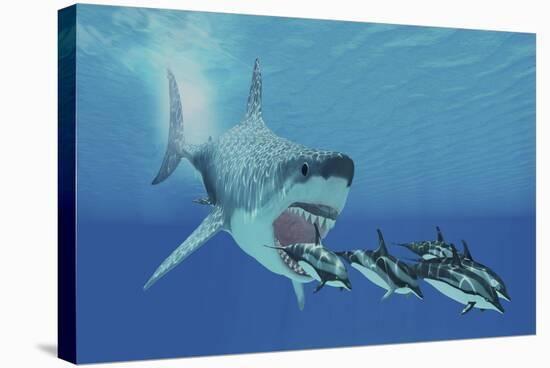 A Huge Megalodon Shark Swims after a Pod of Striped Dolphins-null-Stretched Canvas