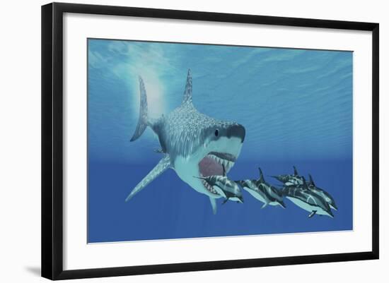 A Huge Megalodon Shark Swims after a Pod of Striped Dolphins-null-Framed Art Print