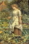 Of Herbs, and Other Country Messes, Which the Neat-Handed Phyllis Dresses-A. Hughes-Giclee Print