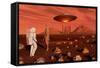 A Human Astronaut Making Contact with a Reptoid Alien on the Surface of Mars-null-Framed Stretched Canvas