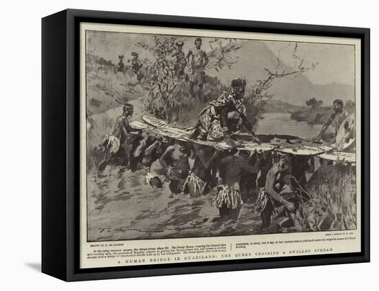 A Human Bridge in Swaziland, the Queen Crossing a Swollen Stream-Frederic De Haenen-Framed Stretched Canvas