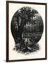 A Hummock, Florida-John Douglas Woodward-Framed Giclee Print