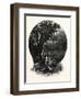 A Hummock, Florida-John Douglas Woodward-Framed Giclee Print