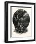 A Hummock, Florida-John Douglas Woodward-Framed Giclee Print