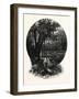 A Hummock, Florida-John Douglas Woodward-Framed Giclee Print