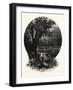 A Hummock, Florida-John Douglas Woodward-Framed Giclee Print