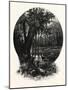 A Hummock, Florida-John Douglas Woodward-Mounted Giclee Print
