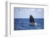 A Humpback Whale Begins to Breach Out of the Atlantic Ocean-Stocktrek Images-Framed Photographic Print