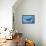 A Humpback Whale Mother and Her Calf-Stocktrek Images-Framed Stretched Canvas displayed on a wall