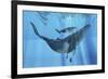 A Humpback Whale Mother and Her Calf-Stocktrek Images-Framed Art Print