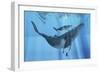 A Humpback Whale Mother and Her Calf-Stocktrek Images-Framed Art Print