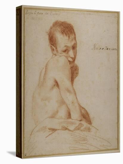 A Hunchback Boy-Annibale Carracci-Stretched Canvas