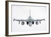 A Hungarian Air Force Jas-39 Gripen over Lithuania-Stocktrek Images-Framed Photographic Print