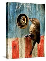 A Hungry Baby Wren Opens Wide for a Snack Wiggling-null-Stretched Canvas