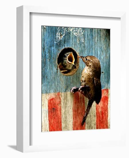 A Hungry Baby Wren Opens Wide for a Snack Wiggling-null-Framed Photographic Print