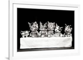 A Hungry Bunch, 1914-Science Source-Framed Giclee Print