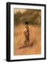 A Hunter, 1916-Grace Carpenter Hudson-Framed Giclee Print