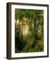 A Hunter in the Cuban Jungle, Sunrise, 1869-Henry Cleenewerck-Framed Giclee Print