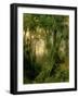 A Hunter in the Cuban Jungle, Sunrise, 1869-Henry Cleenewerck-Framed Giclee Print