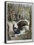 A Hunter Killed by a Wild Boar, 1901-null-Framed Stretched Canvas