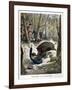 A Hunter Killed by a Wild Boar, 1901-null-Framed Giclee Print