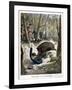 A Hunter Killed by a Wild Boar, 1901-null-Framed Giclee Print