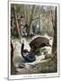 A Hunter Killed by a Wild Boar, 1901-null-Mounted Giclee Print