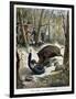 A Hunter Killed by a Wild Boar, 1901-null-Framed Giclee Print