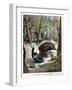 A Hunter Killed by a Wild Boar, 1901-null-Framed Giclee Print