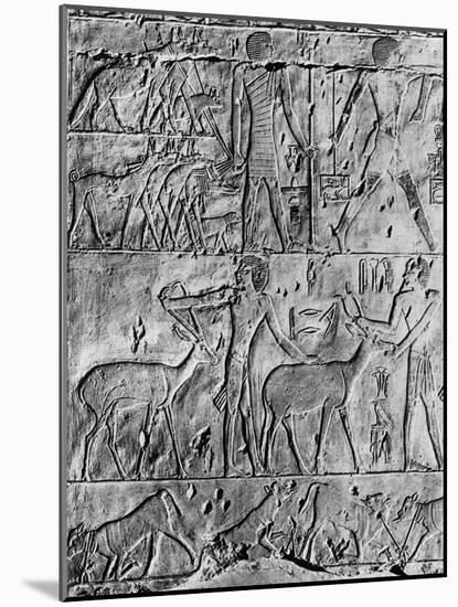 A Hunting Scene from the Tomb of Ptahhotep, Near Saqqara, Egypt, C2650 BC-null-Mounted Giclee Print