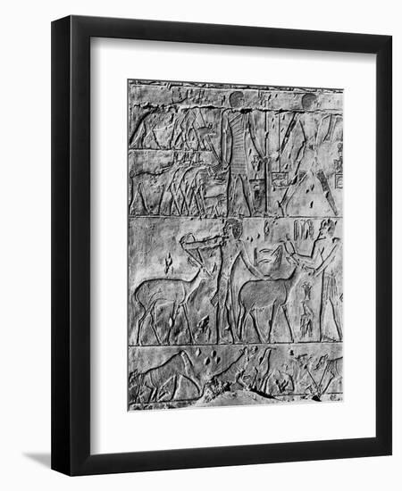 A Hunting Scene from the Tomb of Ptahhotep, Near Saqqara, Egypt, C2650 BC-null-Framed Premium Giclee Print