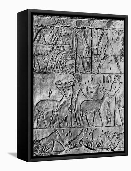 A Hunting Scene from the Tomb of Ptahhotep, Near Saqqara, Egypt, C2650 BC-null-Framed Stretched Canvas