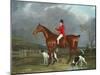 A Huntsman and Hounds, 1824-David of York Dalby-Mounted Giclee Print