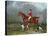 A Huntsman and Hounds, 1824-David of York Dalby-Stretched Canvas