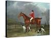 A Huntsman and Hounds, 1824-Federico Ballesio-Stretched Canvas