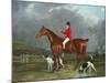 A Huntsman and Hounds, 1824-Federico Ballesio-Mounted Giclee Print