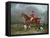 A Huntsman and Hounds, 1824-Federico Ballesio-Framed Stretched Canvas