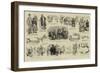 A Hydropathic Legend-null-Framed Giclee Print