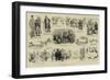 A Hydropathic Legend-null-Framed Giclee Print