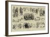 A Hydropathic Legend-null-Framed Giclee Print