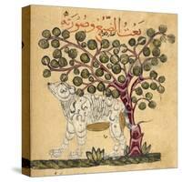 A Hyena-Aristotle ibn Bakhtishu-Stretched Canvas