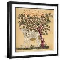 A Hyena-Aristotle ibn Bakhtishu-Framed Giclee Print